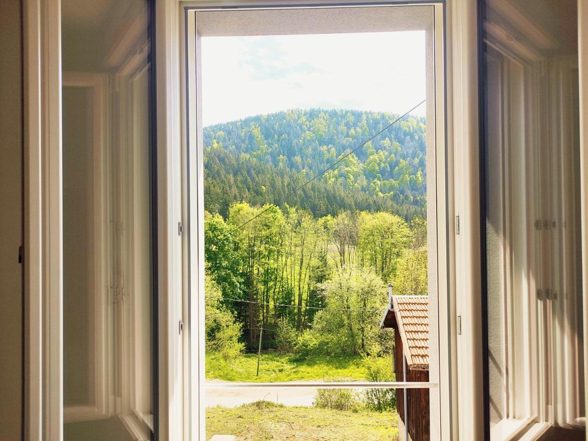 ⁂⁂ Le Chamois Appartement Cledicihome / Magnifique Vue Sur Les Montagnes / 4 Kms De Gerardmer ! ⁂⁂ Rochesson Exteriör bild
