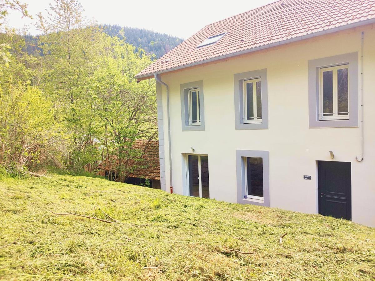 ⁂⁂ Le Chamois Appartement Cledicihome / Magnifique Vue Sur Les Montagnes / 4 Kms De Gerardmer ! ⁂⁂ Rochesson Exteriör bild
